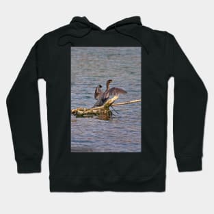 Cormorant Hoodie